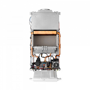Конвекционный газовый котел Protherm Гепард 23 MTV (2010), 23.3 кВт, двухконтурный